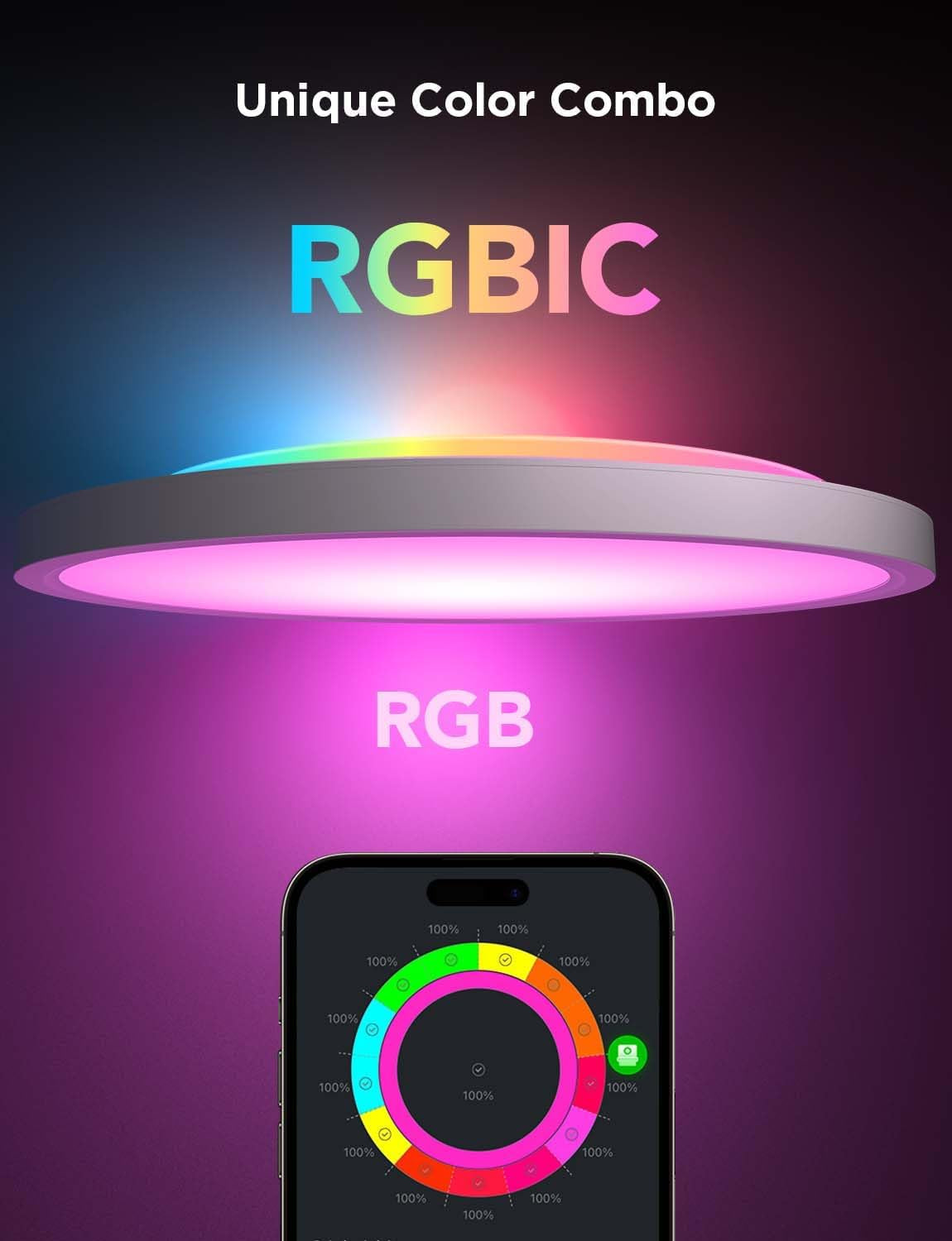 RGBIC LED Smart Ceiling Light 2400LM Flush